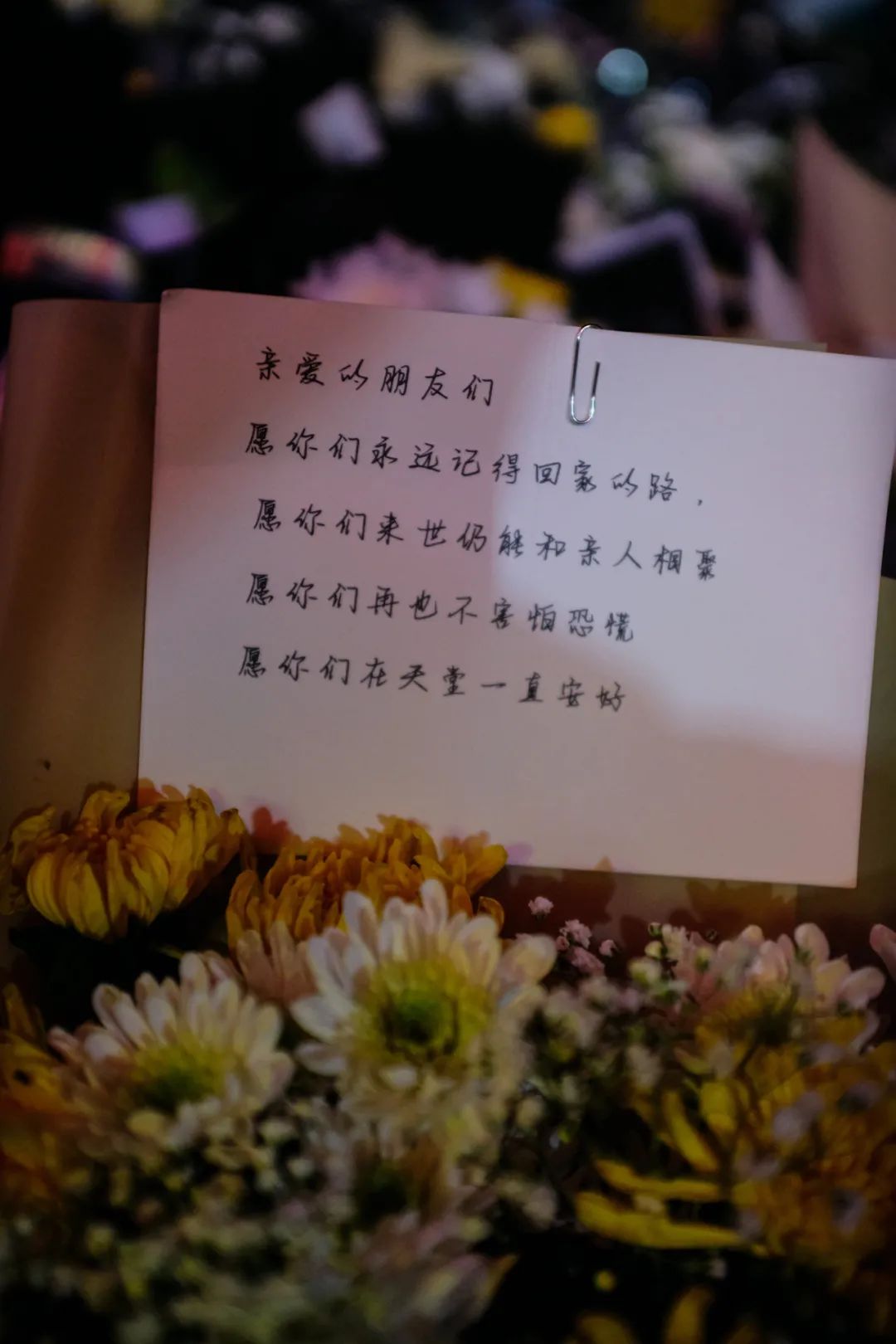 cdtimg