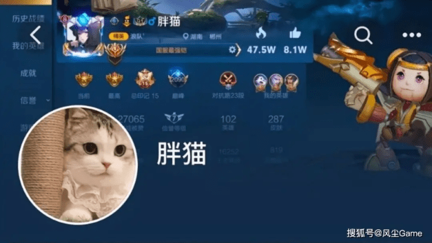 亮见｜在每一个替代品背后，都藏着一头人人避而不谈的大象