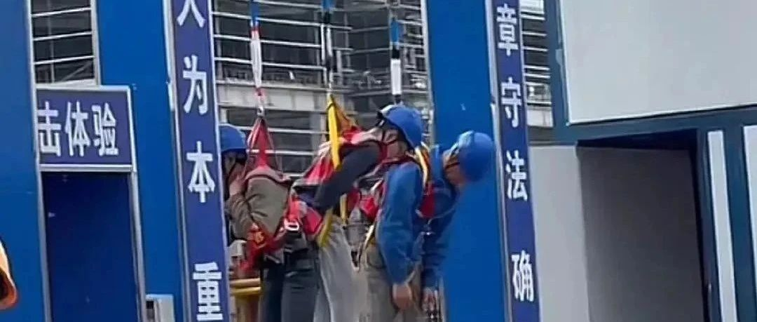 竹不倒｜为了他们好，才把他们吊起来！